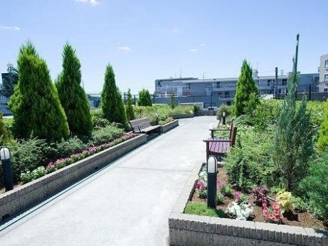 「トラストガーデン杉並宮前」のルーフガーデン。屋上の癒やしの場になっており、花々や葉っぱの香り漂う。