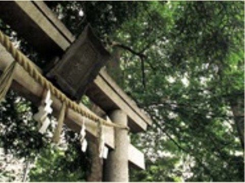 「トラストガーデン杉並宮前」の周辺環境。お散歩ついでに、神社へ寄ってお参りをする。