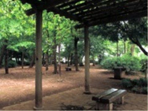 「トラストガーデン杉並宮前」の周辺環境。緑のカーテンのように、大きな木々が日光を遮ってくれる。