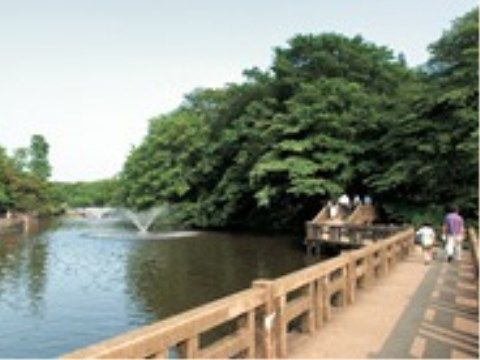 「トラストガーデン杉並宮前」の周辺環境。大きな池には、カルガモの親子も遊びにくる。