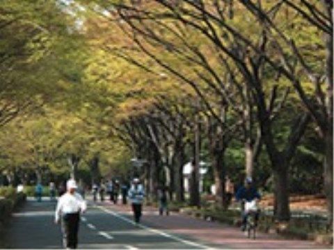 トラストガーデン桜新町の周辺環境。静かにお散歩を堪能できる環境が近隣にございます。