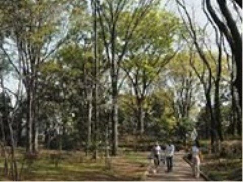 トラストガーデン桜新町の周辺環境。小さいこどもとの触れ合うことができる暖かなファミリー公園となっております。