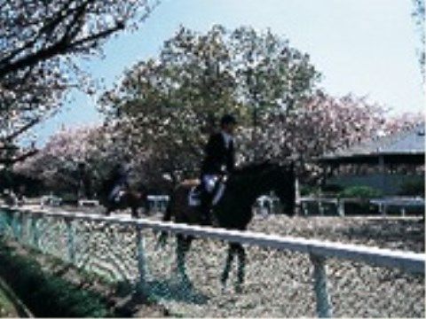 トラストガーデン桜新町の周辺環境。動物との触れ合いを通して充実した日々をお送りいただけます。