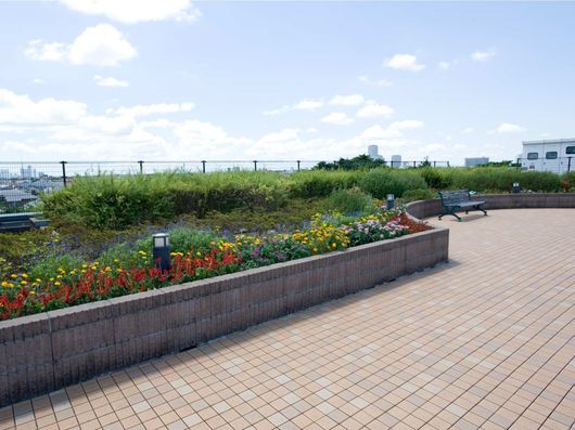 ルーフガーデン