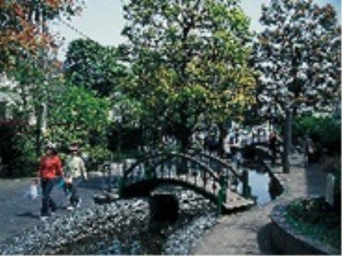 トラストガーデン用賀の杜の周辺環境。日々多くの人と触れ合える賑やかな、活気に満ちた場所となっております。
