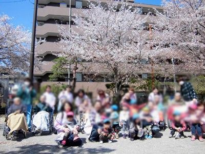 桜の下での集合写真
