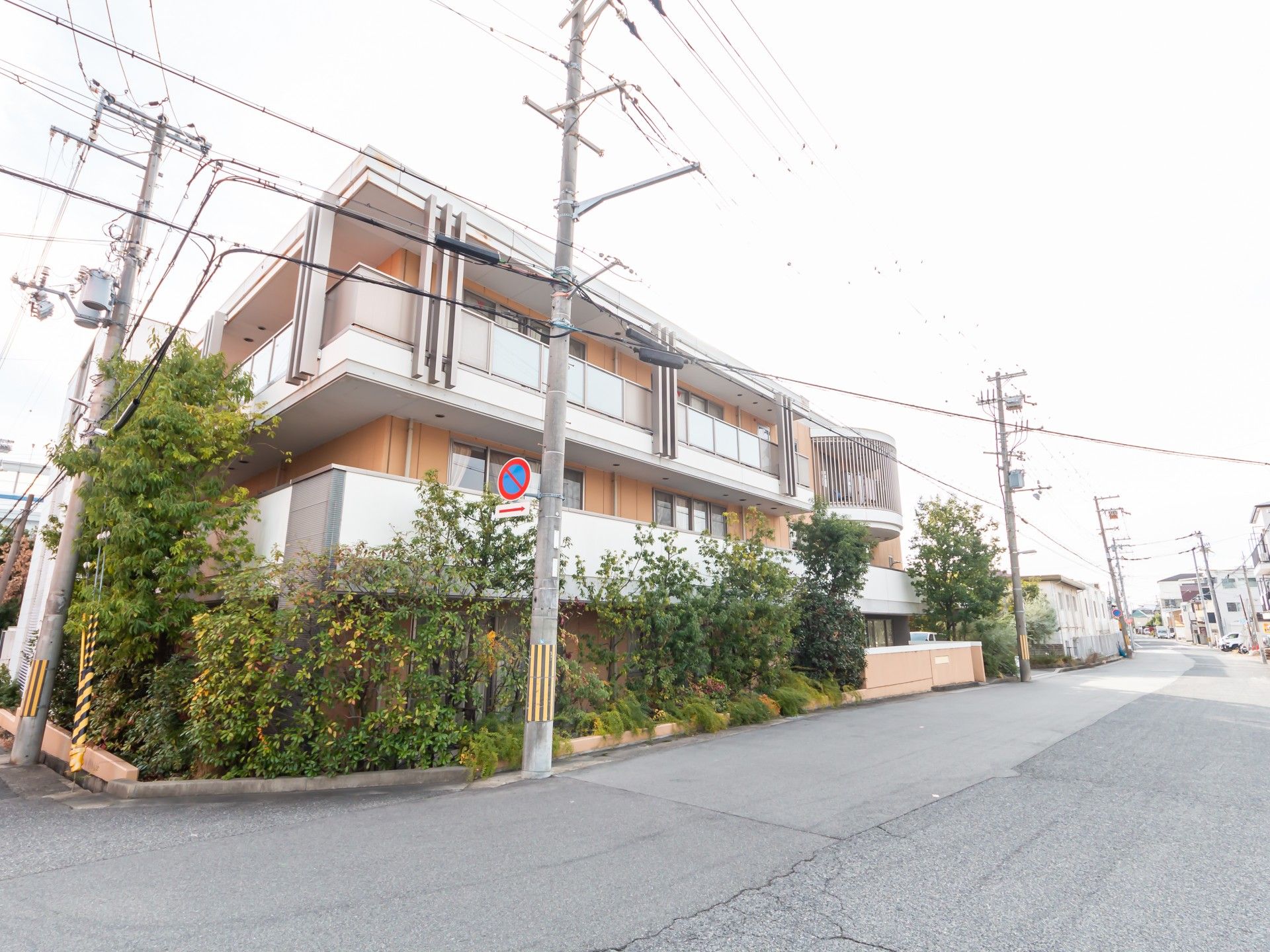 緑に囲まれた建物外観