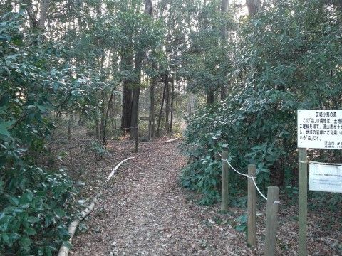 緑あふれた森林公園である。散歩ができるように、木やロープで小道を作っている。分かれ道に看板が立てられている。