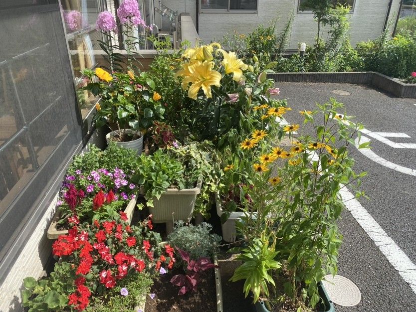 建物周辺にはプランターが置かれていて季節の花が植えられている。