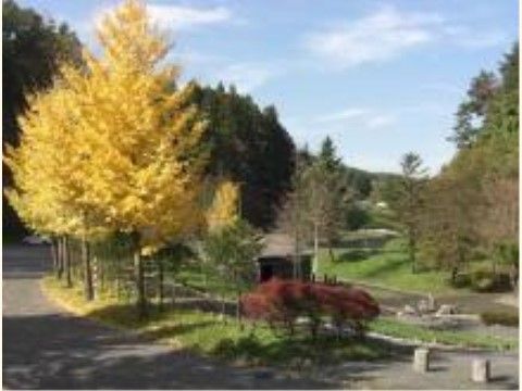 「サービス付き高齢者向け住宅 かっこうの森」の周辺環境。秋の季節を向かえると、紅葉が見頃を迎えており、綺麗な葉を鑑賞できる。
