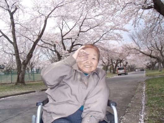 桜の木