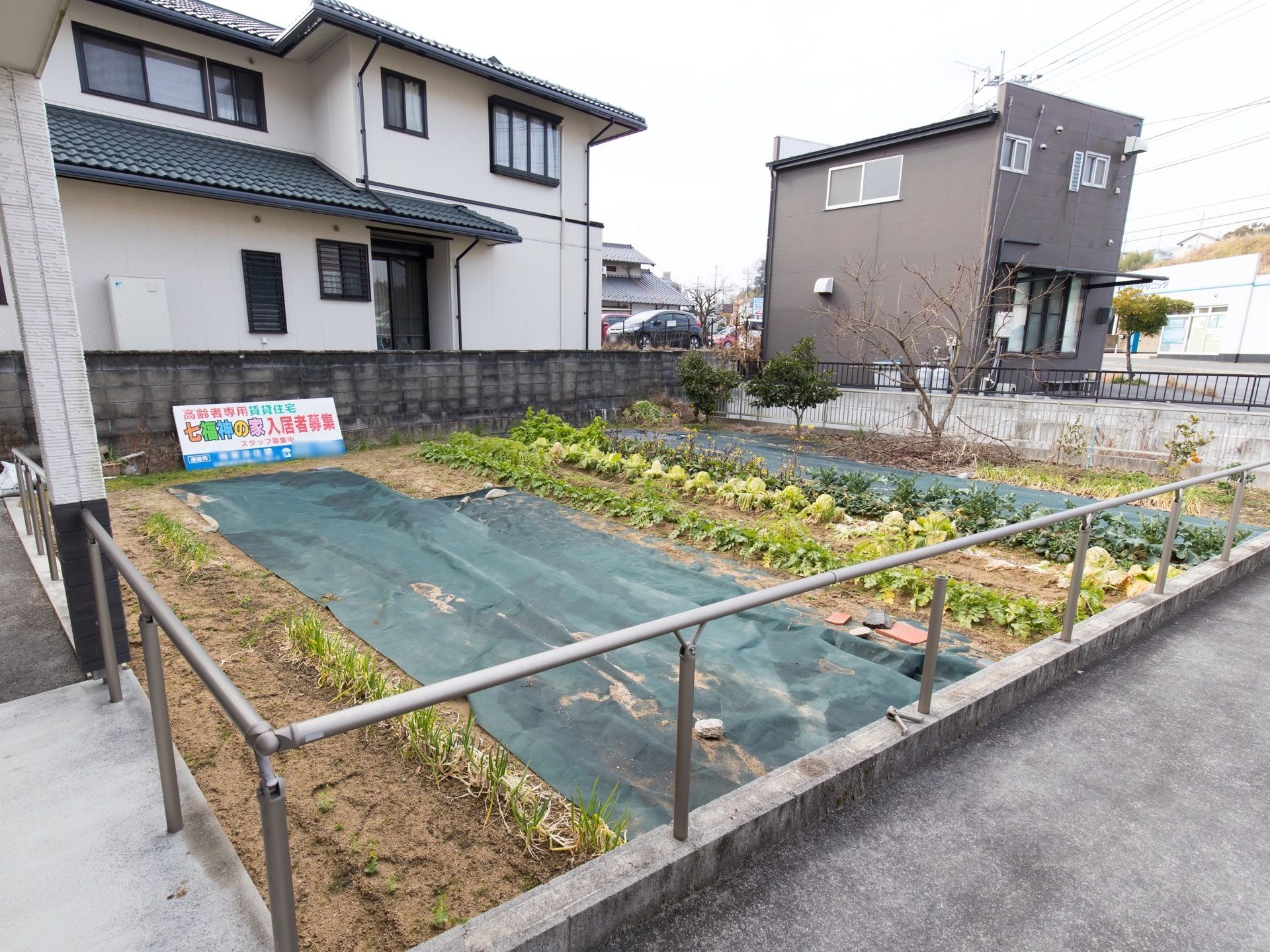 敷地内の一角には菜園があり、四季折々の旬の野菜を栽培しており、収穫した野菜は入居者様に調理して提供されている。