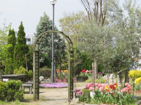 フローラユーアイの庭。四季折々の顔色をお楽しみいただける色彩豊かなお庭をご用意しております。