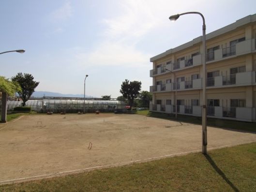 ゲートボール場