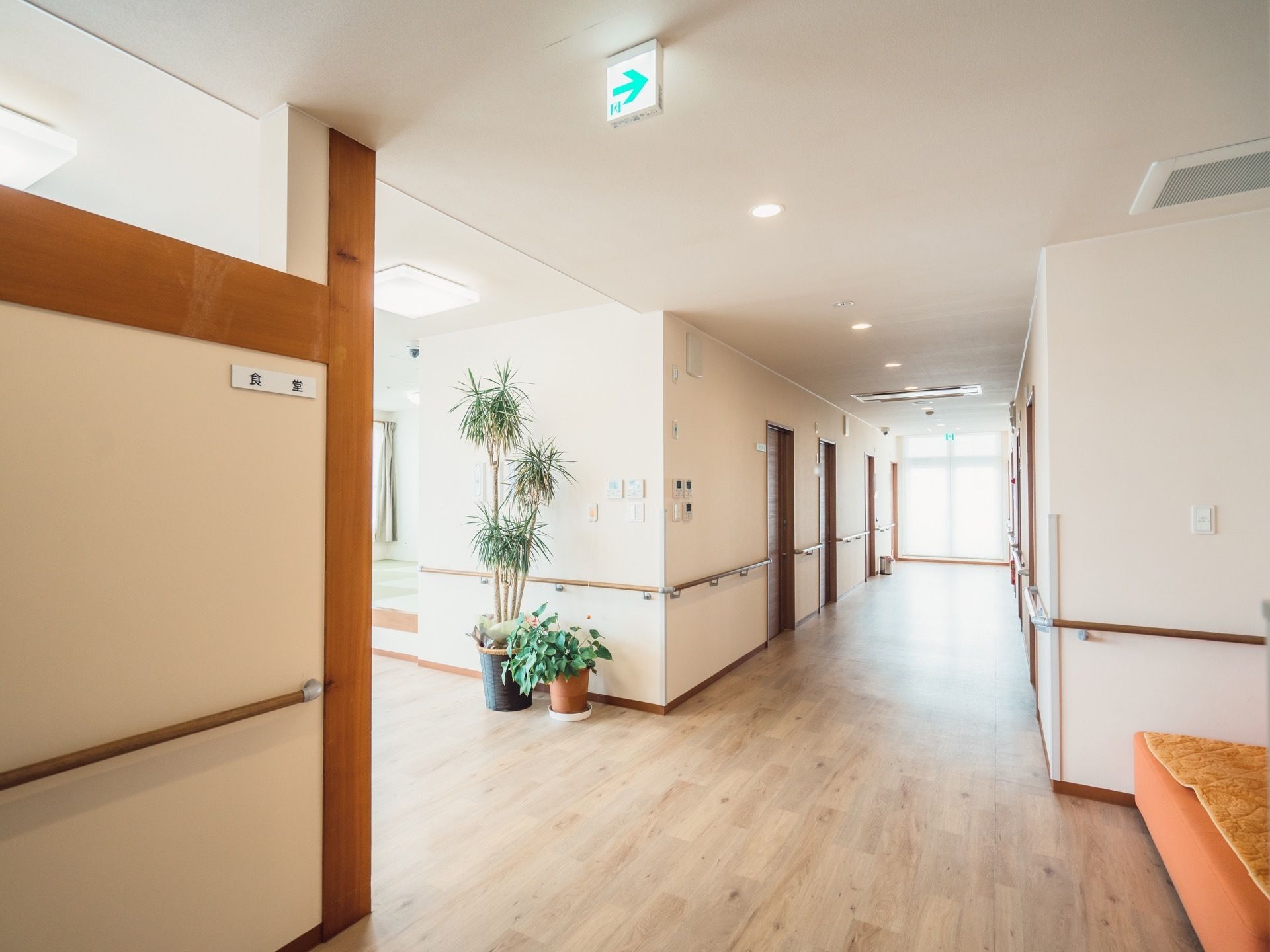 幅にゆとりがあるフローリングの廊下。観葉植物の鉢や休憩用のソファが置かれていて、壁には手すりが備え付けられている。