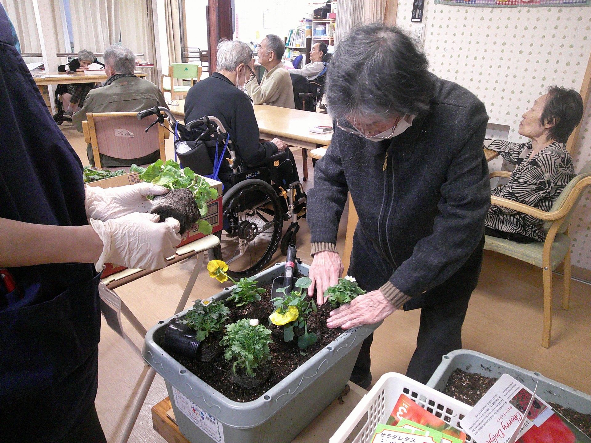 植物の手入れをする様子
