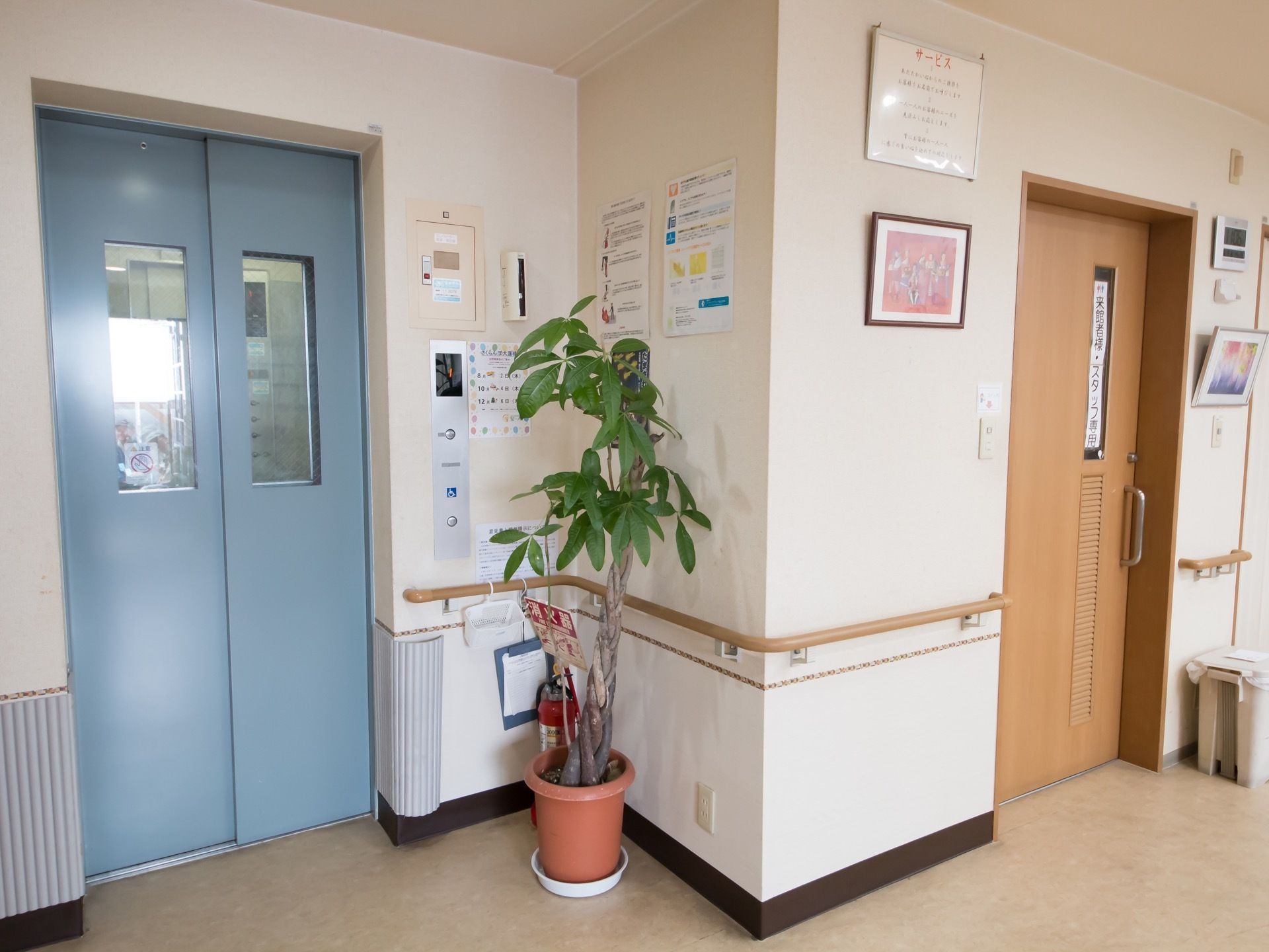 エレベーター前に観葉植物の鉢植えが置かれている。壁には絵画や施設からのお知らせなどが貼りだされている。