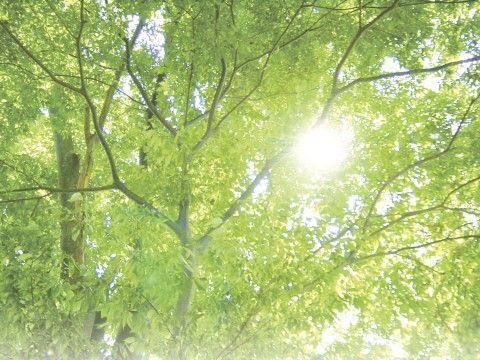 「シニアパンション高知・鴨部」外の風景