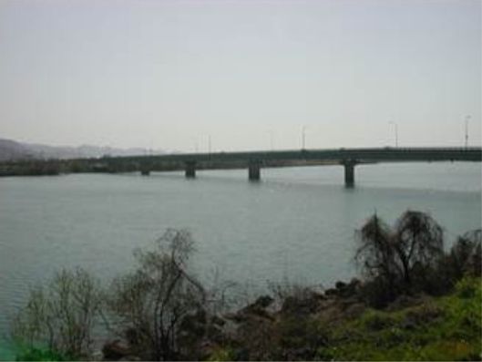 施設からの眺め