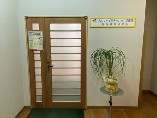 リハビリテーション