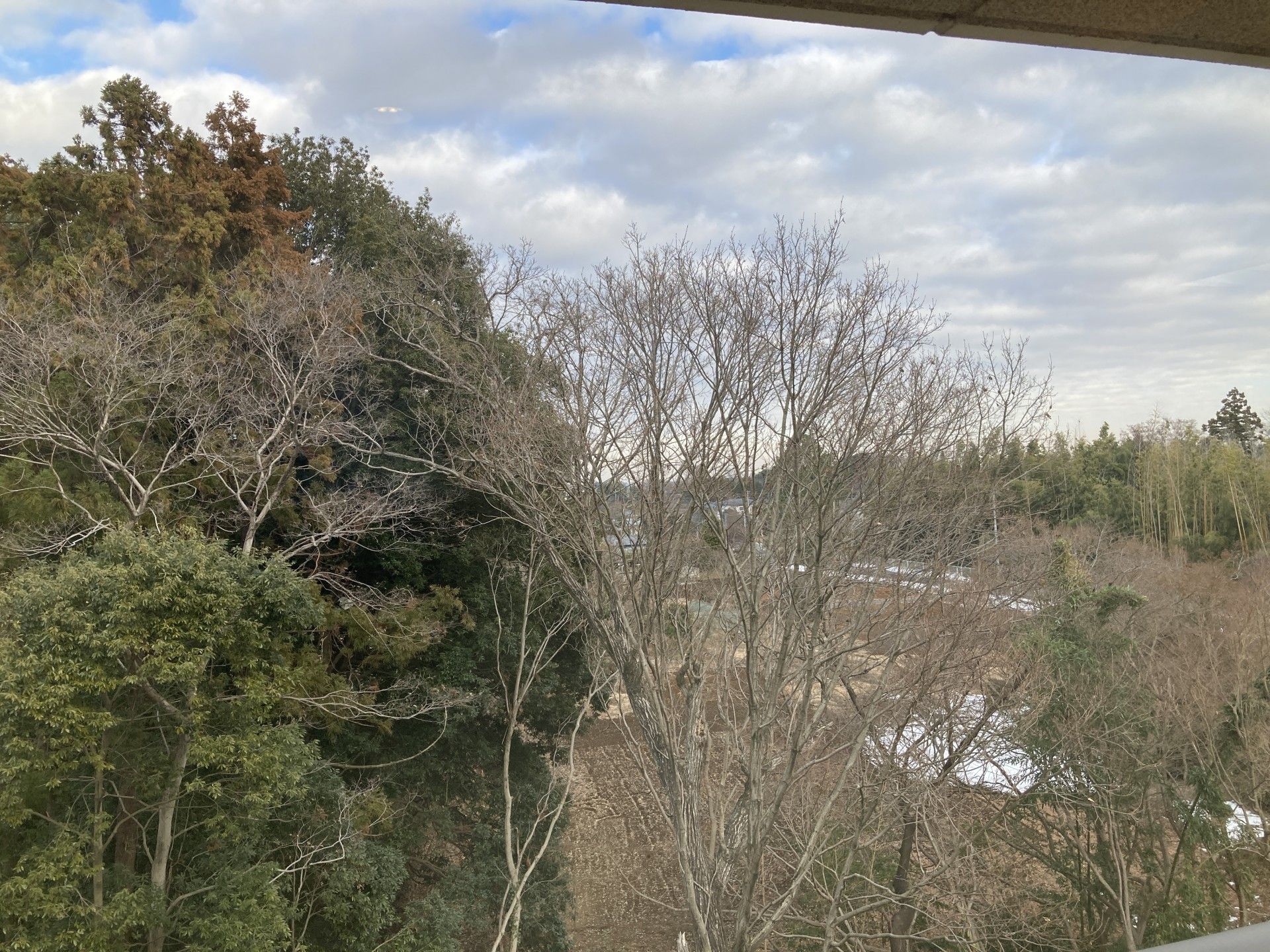 自然豊かな風景