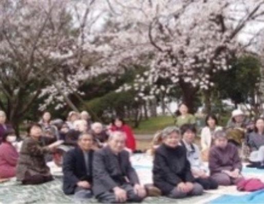 お花見