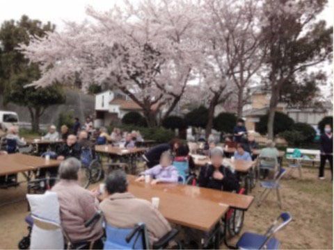 外で花見を楽しんでいる複数の入居者様とスタッフたち