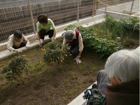 「ニチイケアセンター島田金谷」の中庭。農園体験ができるよう、庭園の手入れをスタッフと共に行っている。