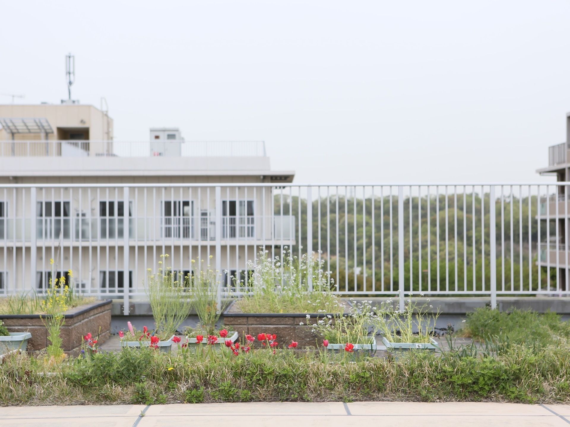 屋上の一部は庭園になっており、季節の花々が植えられている。屋上からの見晴らしはよく、景色を楽しむことができる。