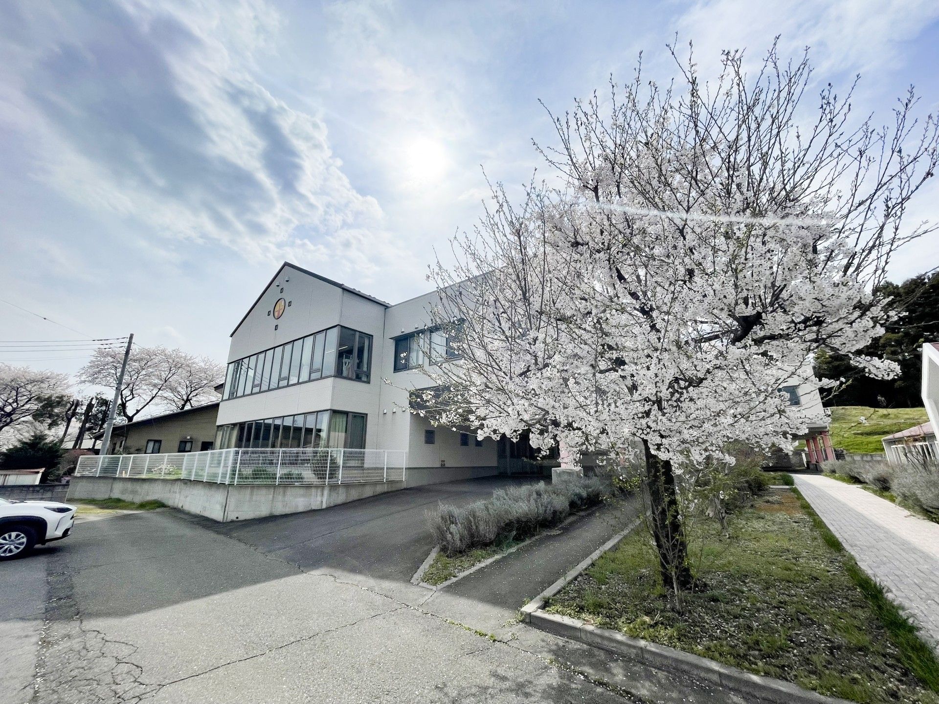 桜が咲く建物の外観