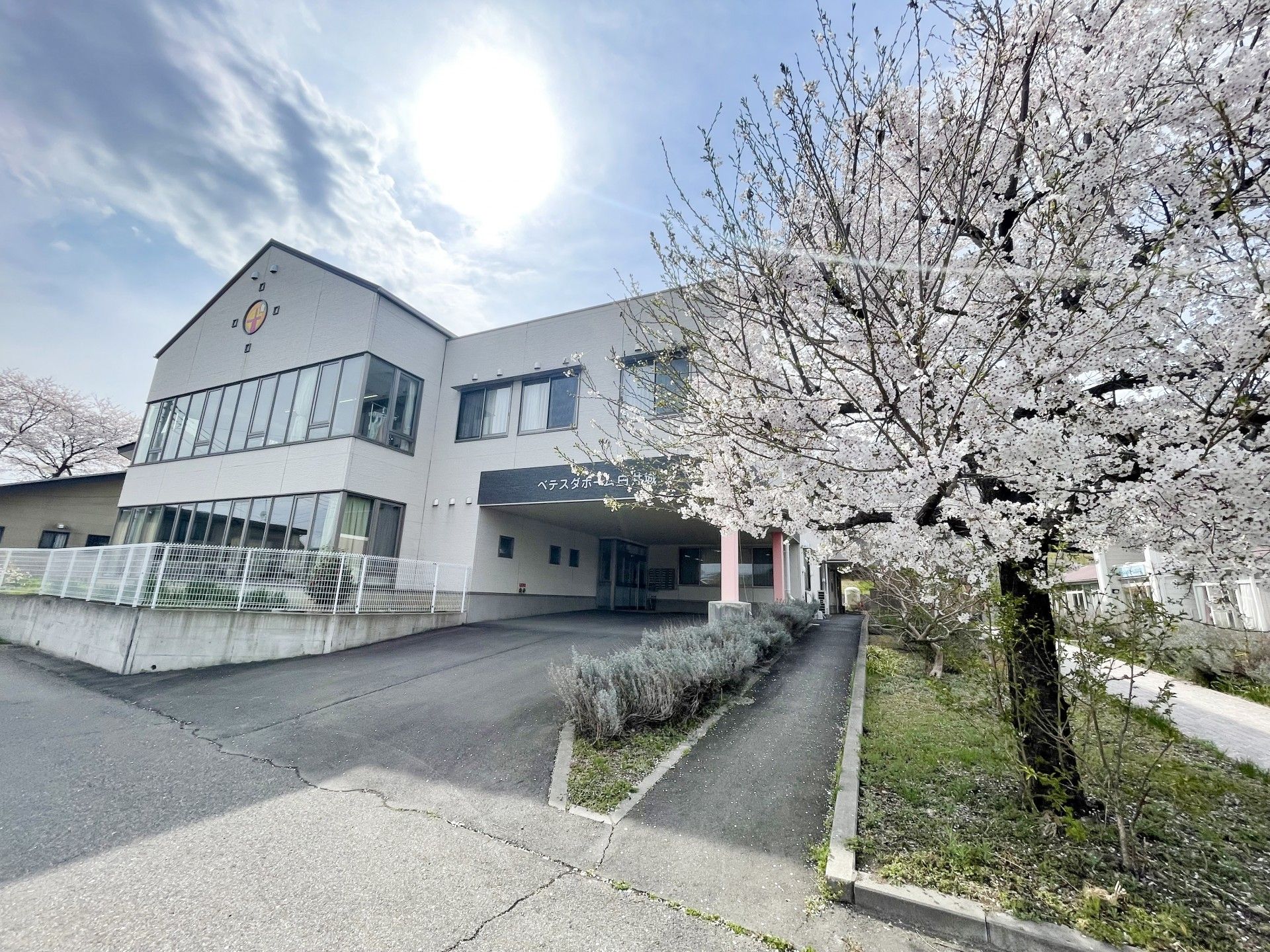 桜が咲く建物の外観