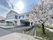 桜が咲く建物の外観