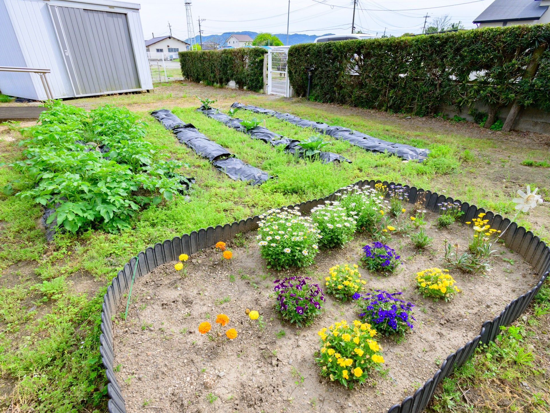 生花のレクリエーションを楽しむ高齢男性と女性スタッフ