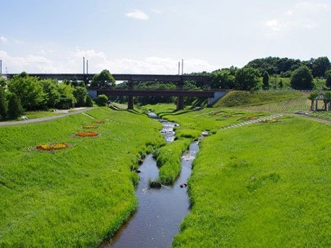 ゆったりとした自然の中庭