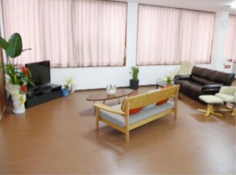 観葉植物が隣に置かれたテレビの正面に、ソファーが設置されているリビング