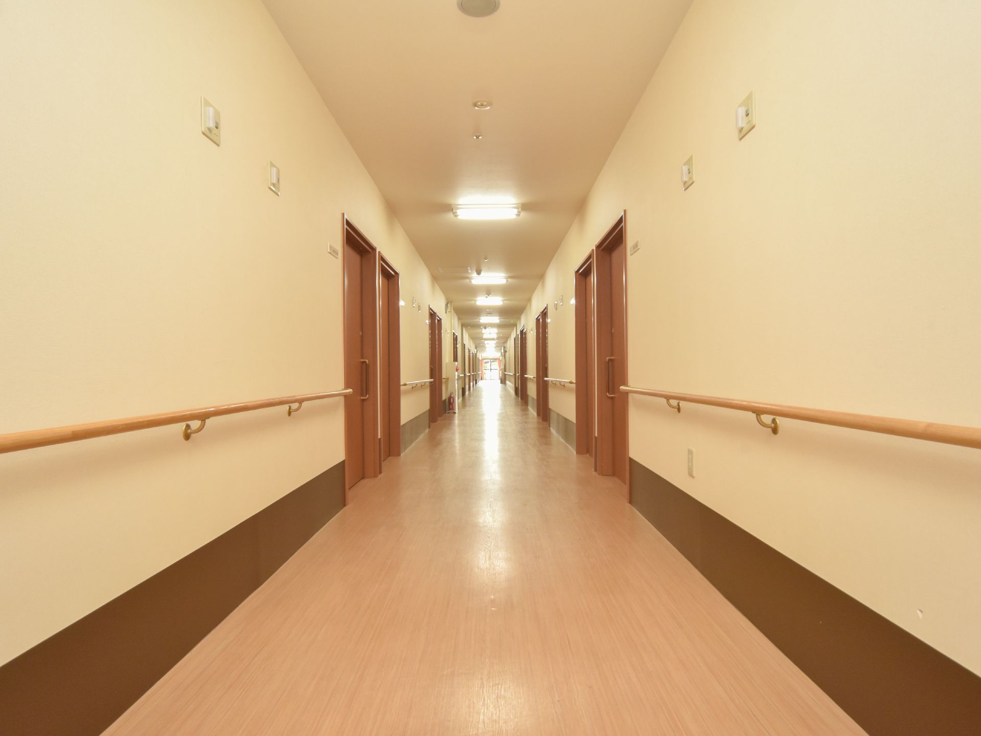 白色と木目仕様の通路。両側の壁には手すりが設置してある。天井には縦に照明が並んでいる。正面にはガラス戸になっている。