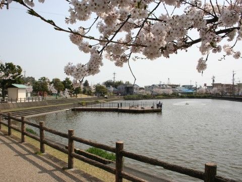 「プレミアムハートライフ小鹿公園前」の周辺環境。四季折々の植物を鑑賞できるので、お散歩コースにも最適である。