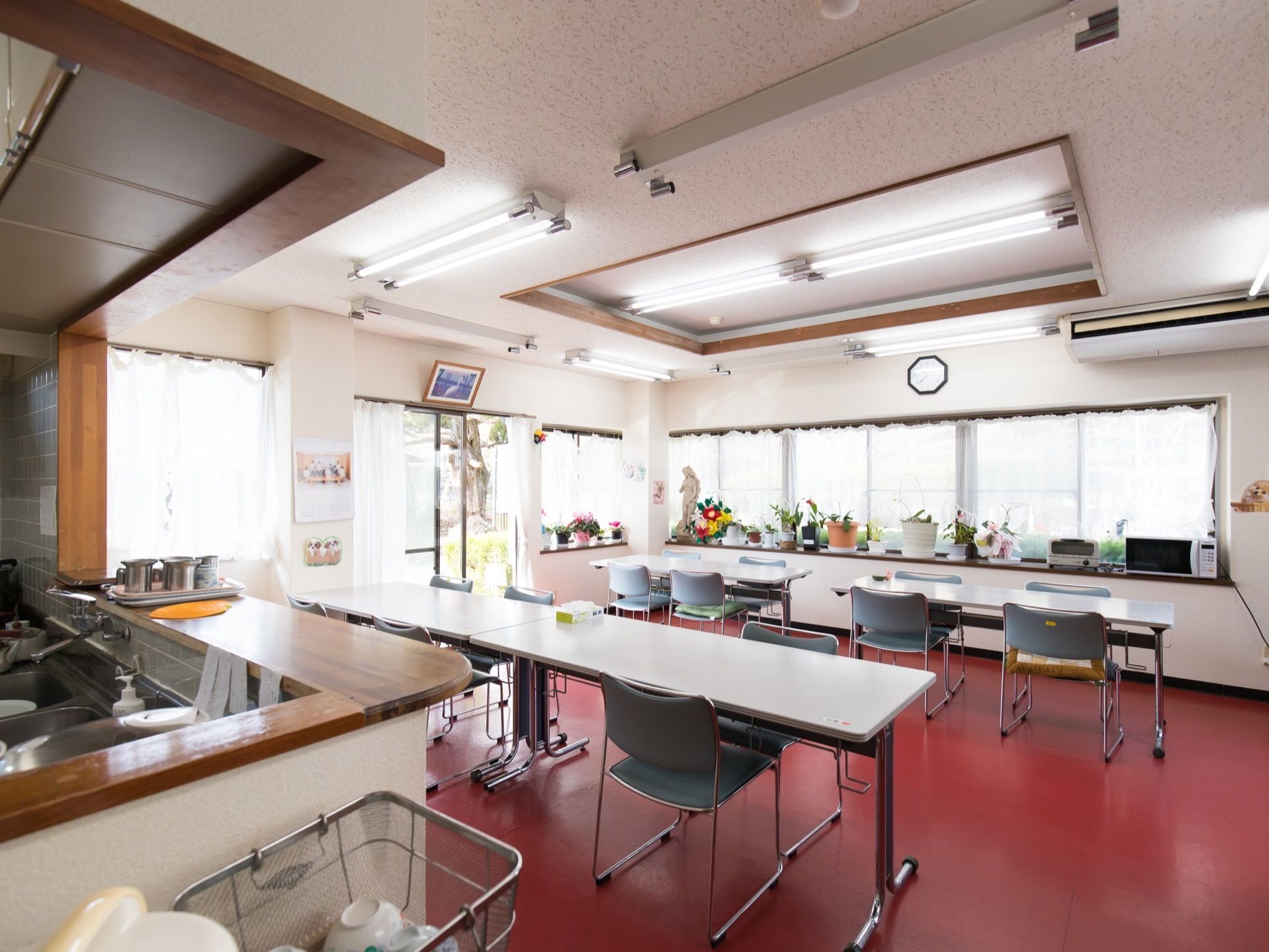 ２面の壁に窓が設置されている。部屋にはテーブルと椅子が幾つも置かれている。窓際には、たくさんの植木鉢がある。