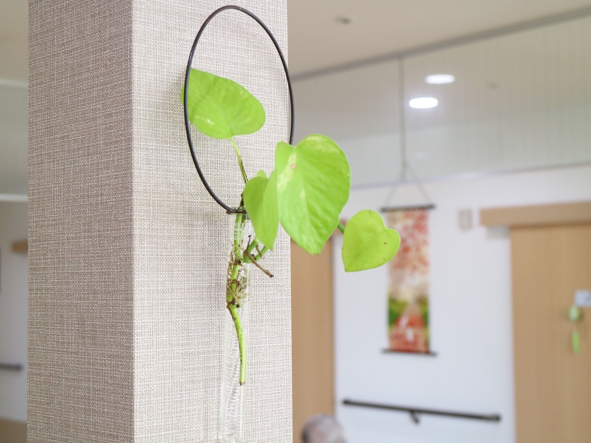 ガラスの吊り下げ式花器が、フロアーの支柱に掛けられている。水が入れられ、グリーン系の植物が挿されている。