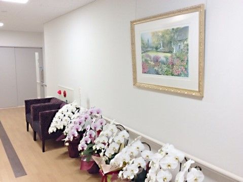 「エイム新栄」の廊下。胡蝶蘭が数多く置かれ、華やかな演出をしてくれる。