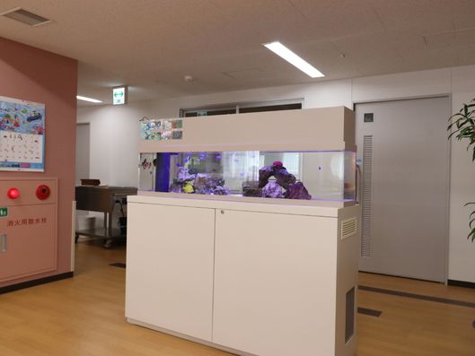 ダイニングルーム内水槽