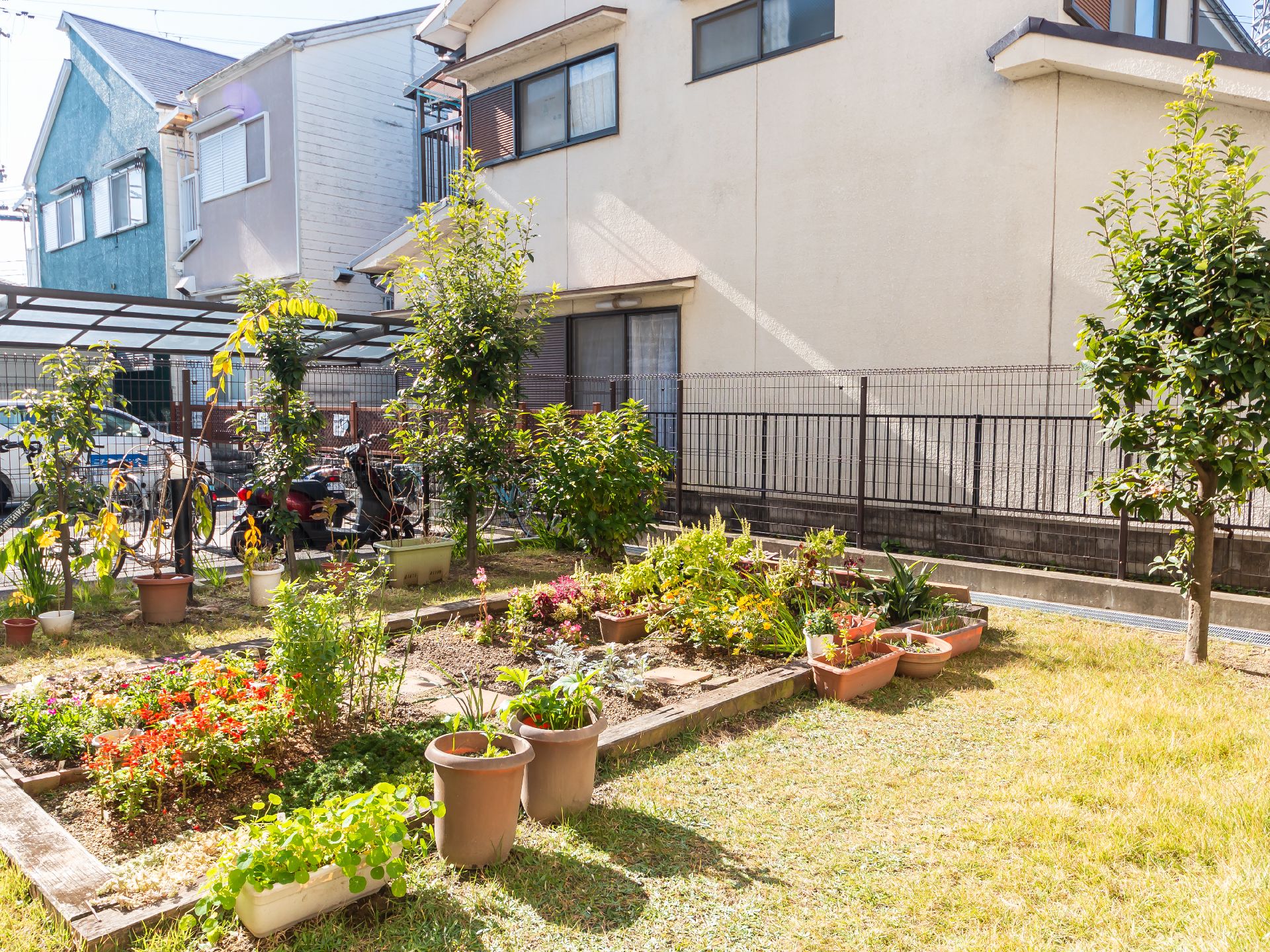 植物や花がたくさん咲いている中庭