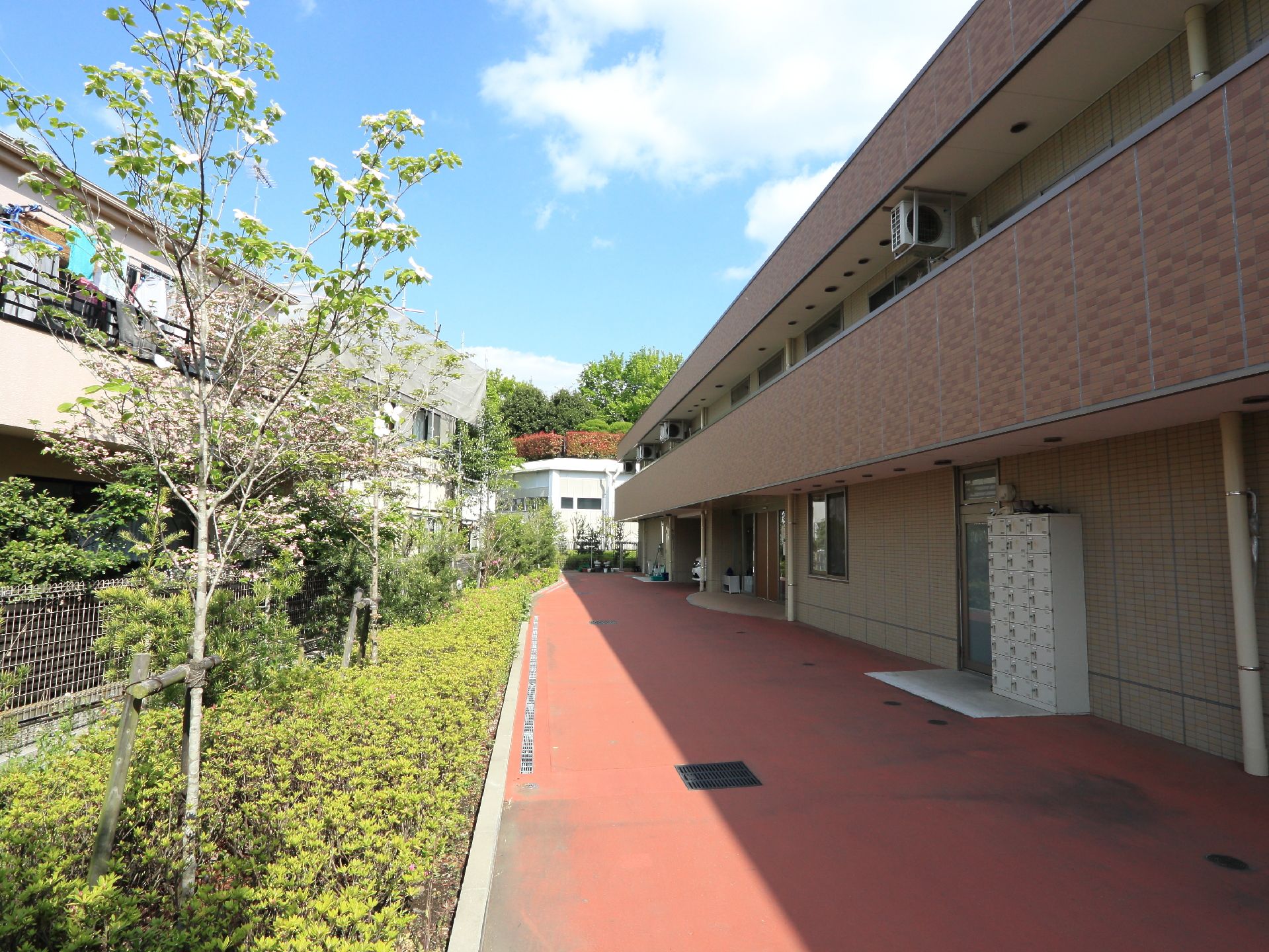 隣の建物との間には、緑の木が植えられている。広い通路は、車いすの方が通りやすいよう、平らに舗装されている。