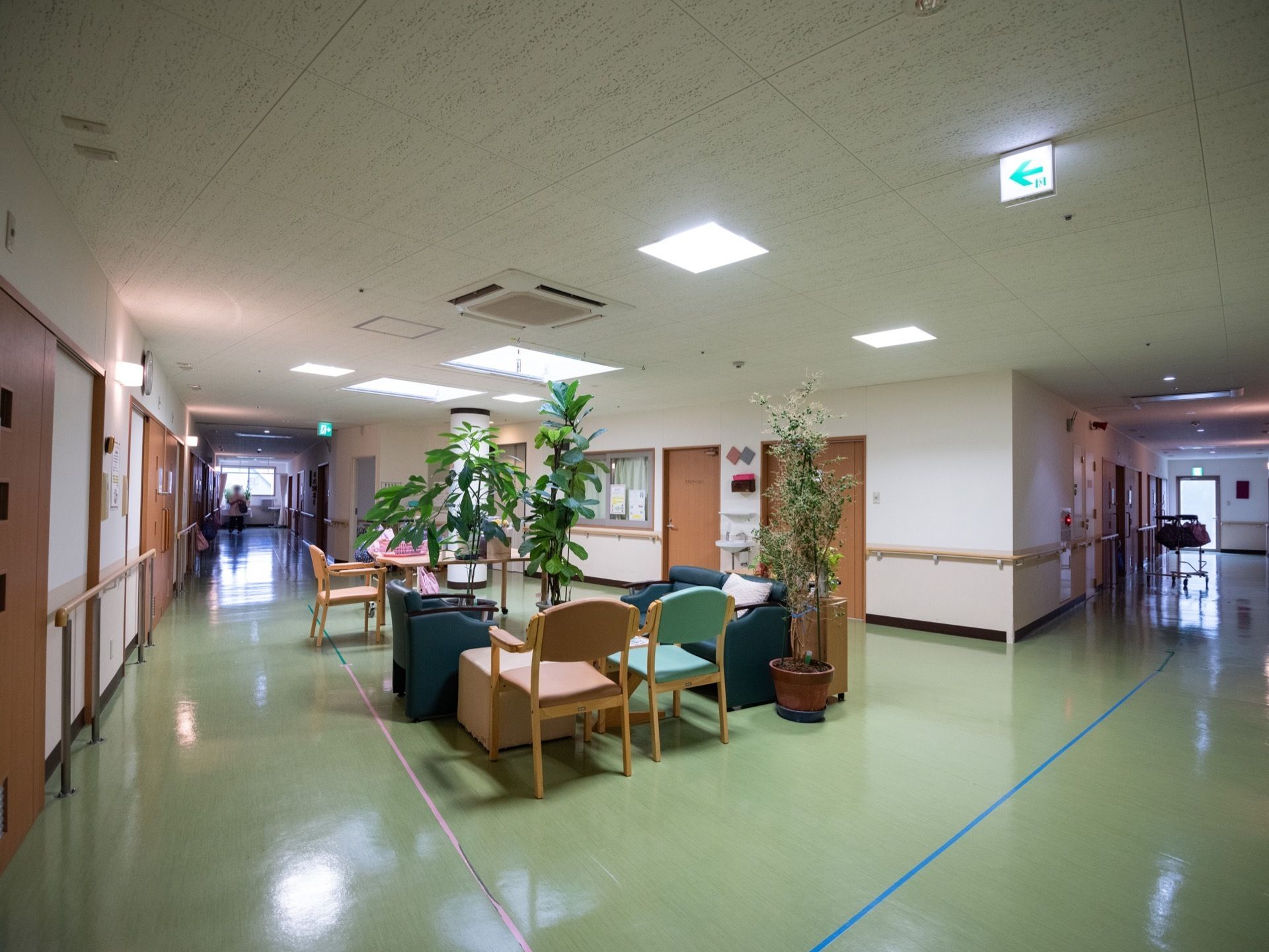 床が緑色で壁が白、建具は木目調で整った印象の廊下にある共有スペースである。椅子やソファ、グリーンが置かれている。