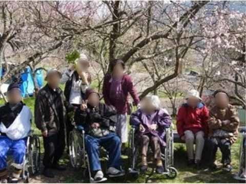 外出先で桜の木が立ち並ぶ前に車椅子などに座り、ポーズをとる入居者様たち