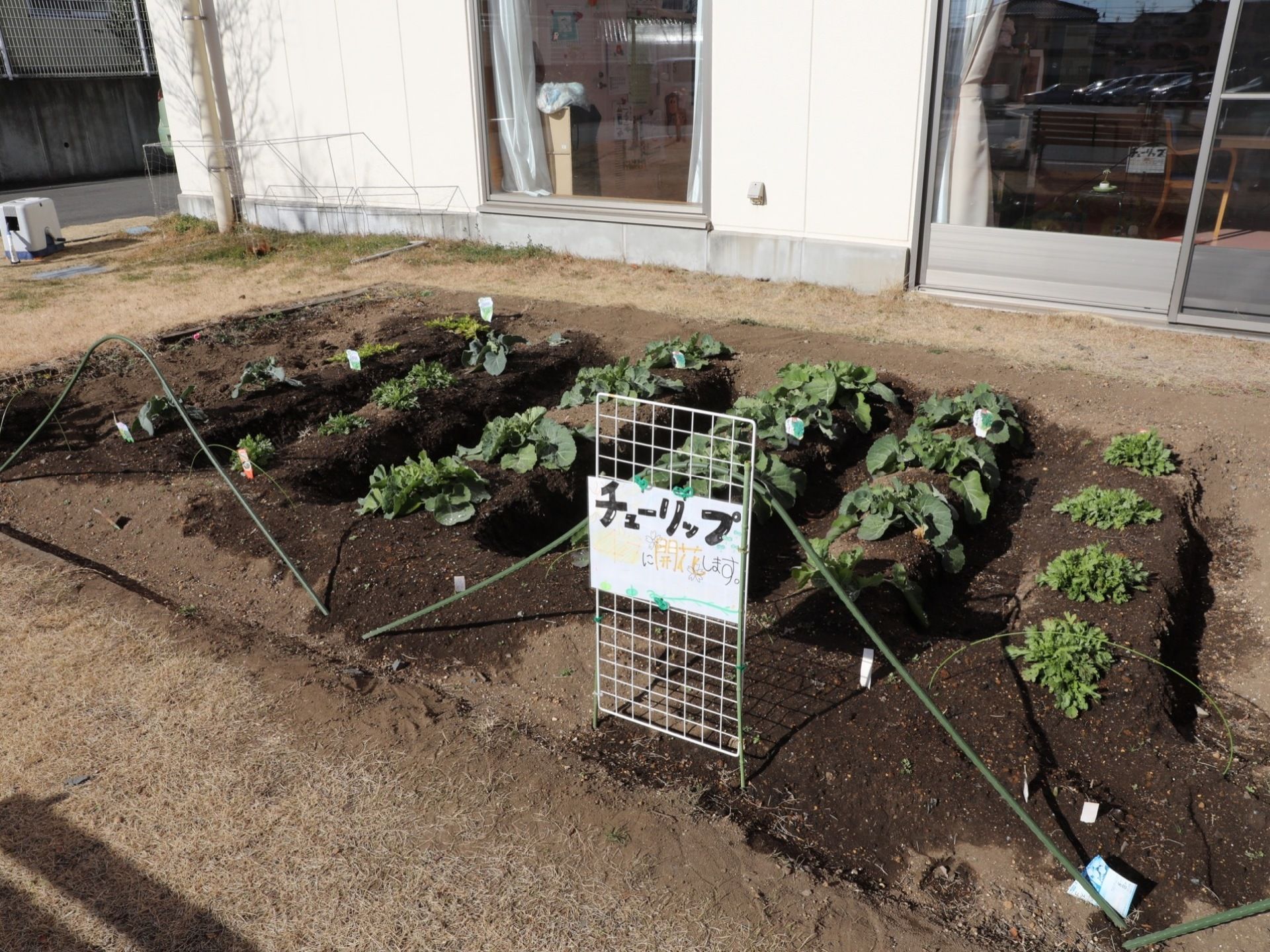野菜やお花を植えることができる小さな畑が敷地内にある。癒されるスペースであり、自然に親しむことができる。
