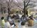 桜の咲く公園で、毎年恒例の施設の花見を行っている。入居者様と施設のスタッフが楽しい時間を過ごしている。