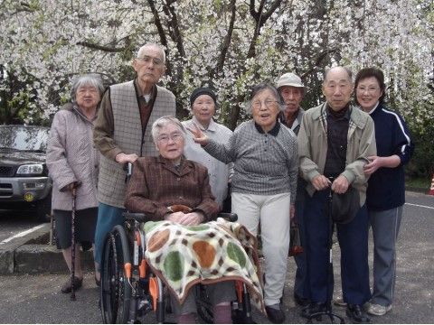花が咲いている桜の木の前で、写真撮影をしている八名の人々