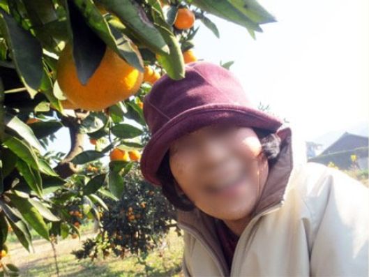 レクリエーション