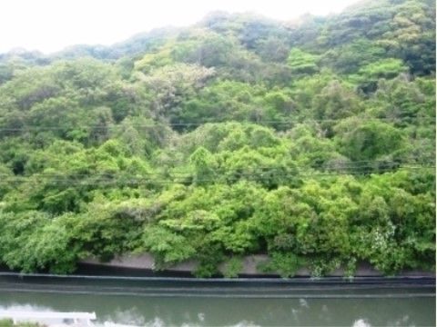 「さわやか花美弐番館」周辺環境。自然が豊かな環境下に位置しています。
